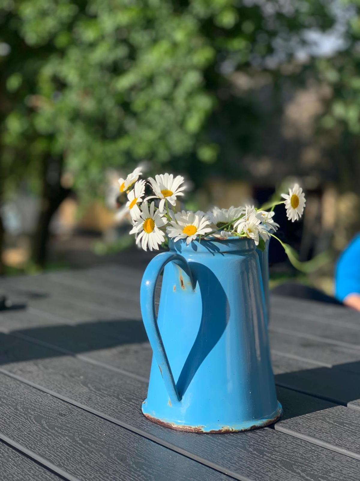 Hotel Glamping Mi Casa Tu Casadk Vissenbjerg Esterno foto