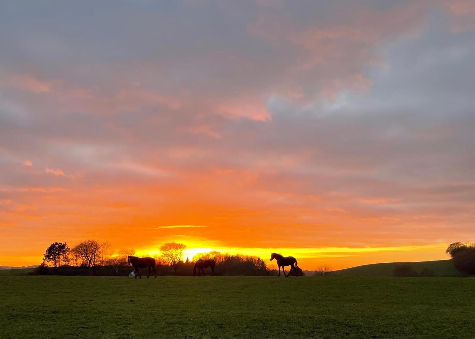 Hotel Glamping Mi Casa Tu Casadk Vissenbjerg Esterno foto
